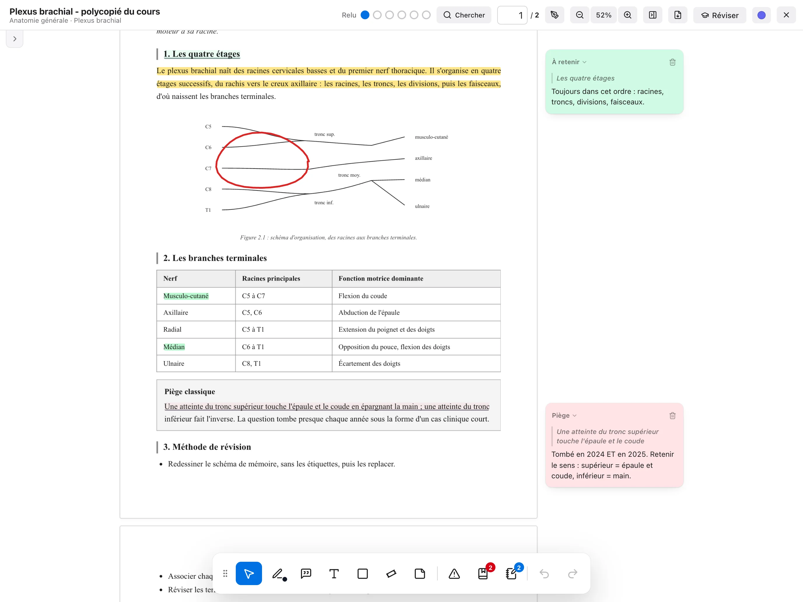 Un poly sur le plexus brachial annoté sur l'iPad : des passages surlignés en jaune et en vert, un schéma entouré au crayon rouge, des remarques dans la marge et la barre d'outils d'annotation.